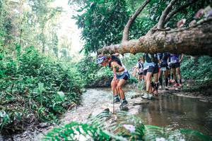 BIB: 
                            <button type="button" onclick="openModal(25457476)" class="btn btn-primary btn-sm float-right btn-popup" data-toggle="modal" data-target=".modal-high-quality">
                        <i class="fas fa-shopping-cart"></i> Add to Cart
                    </button>
                                            <button type="button" onclick="isThisMe(25457476, true)" class="btn btn-success btn-sm float-right btn-popup btn-isme hidden" data-toggle="tooltip" data-placement="bottom" title="นี่คือรูปของคุณใช่ไหม คลิกที่นี่เพื่อเอาเข้าอัลบั้ม">
                        <i class="fas fa-plus"></i> Add to album
                    </button>
                    <button type="button" onclick="isThisMe(25457476, false)" class="btn btn-warning btn-sm float-right btn-popup btn-isnotme hidden">
                        <i class="fas fa-ban"></i> Remove from album
                    </button>